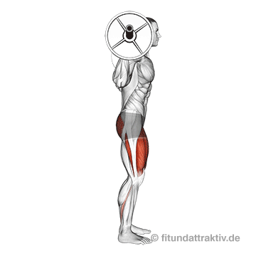 Bewegungsablauf für die Übung Kniebeuge